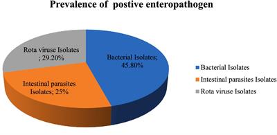 Magnitude of enteric pathogens associated with diarrhea and antibiotic resistance of enteric bacterial pathogens isolated among children under 5 years of age in Bule Hora town, West Guji, Ethiopia